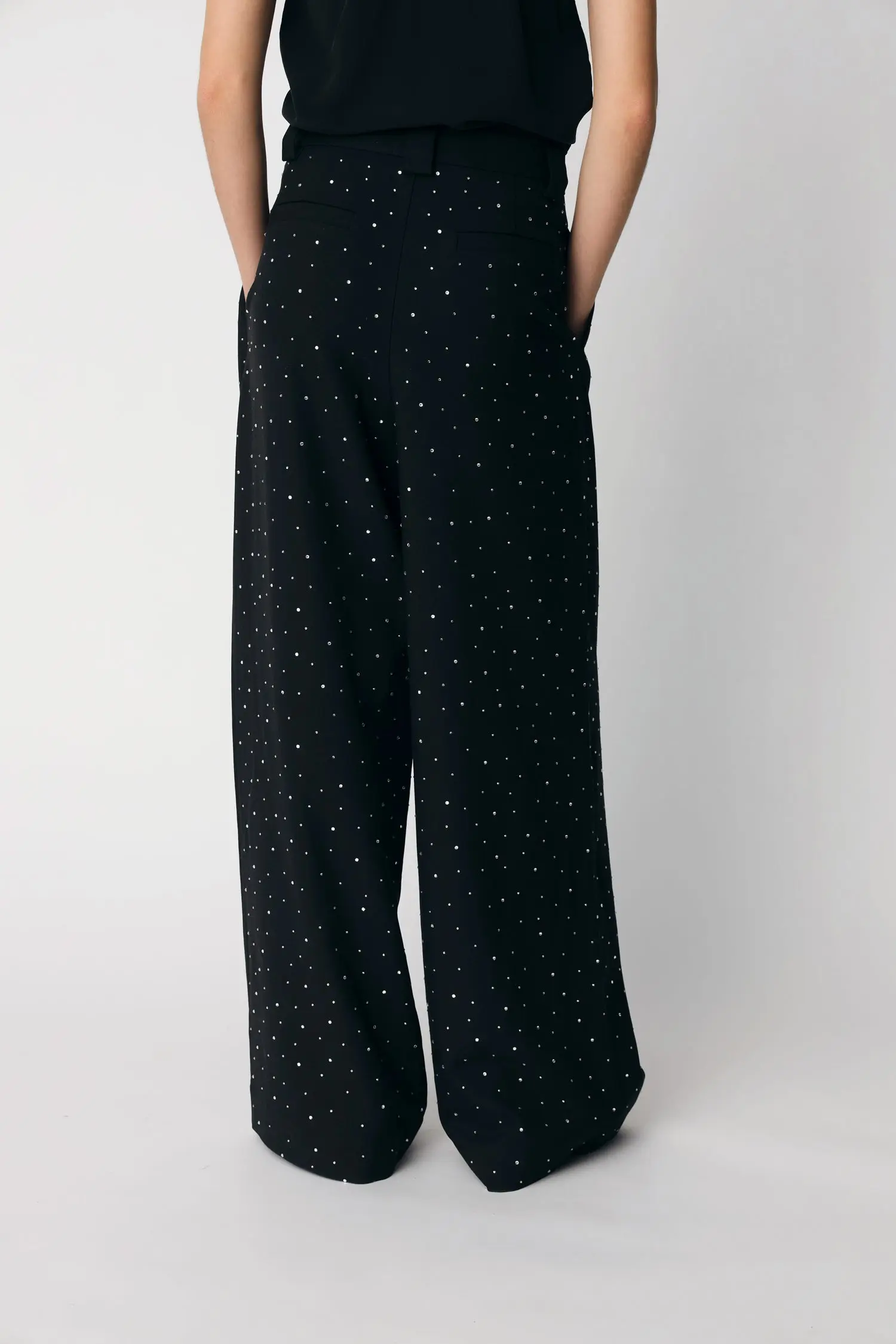 Tuxedo Pants with Rhinestones - Black - Image 3